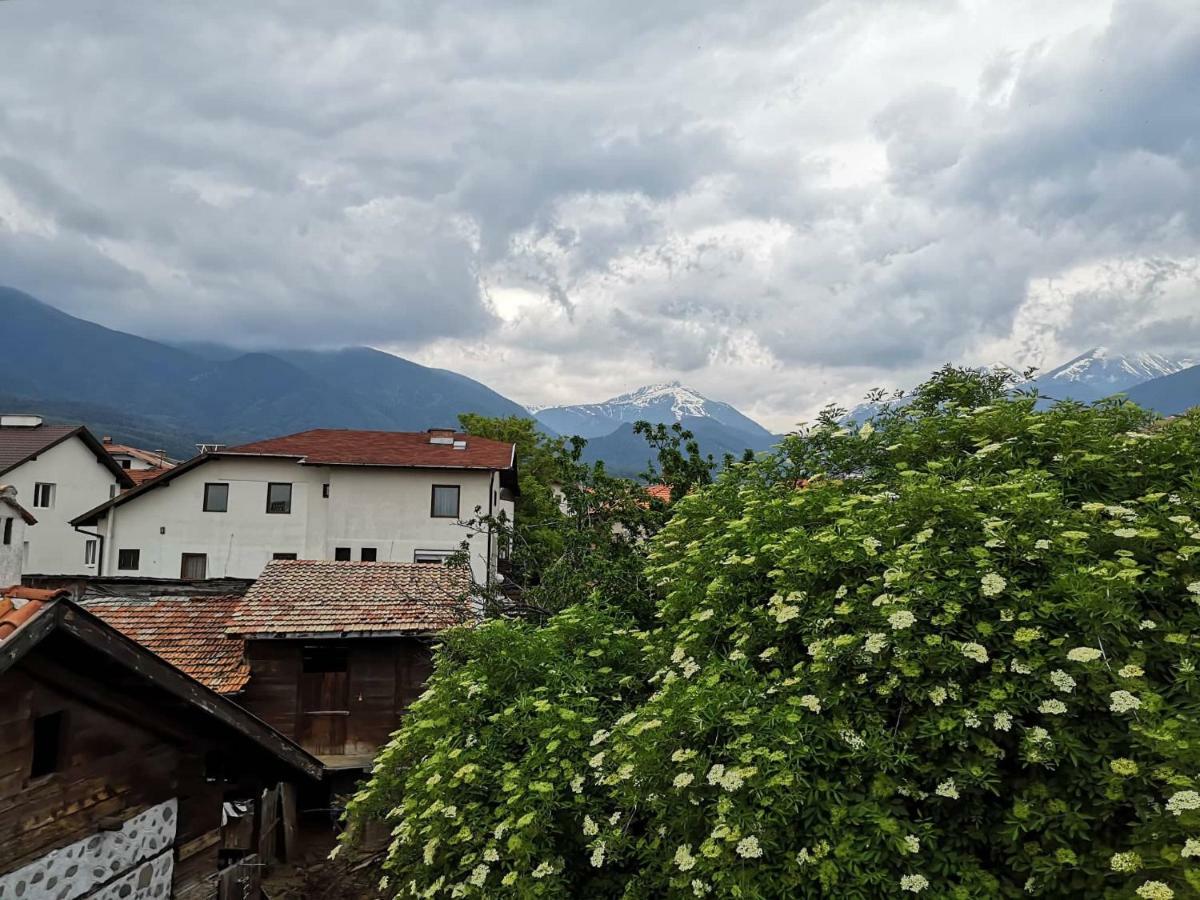 Todeva House Hotel And Tavern Bansko Exterior foto